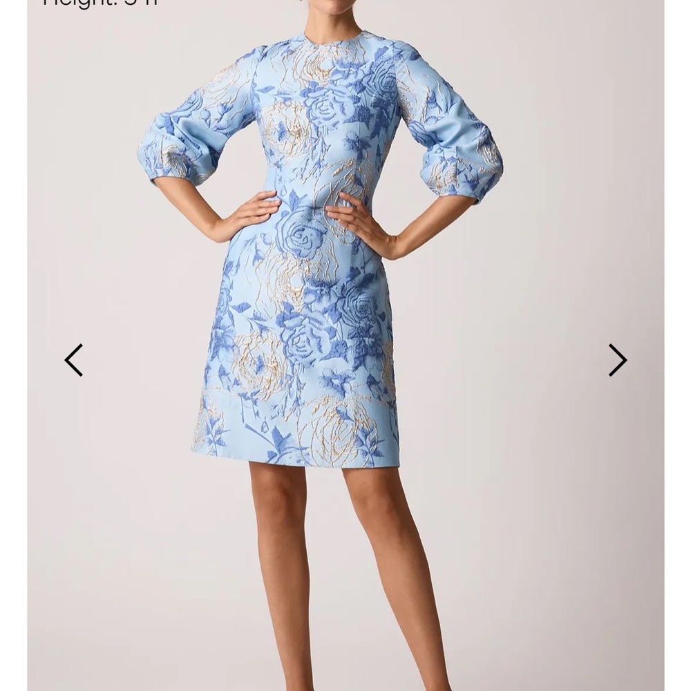Teri Jon Light Blue Floral 3/4 puff Sleeve Dress